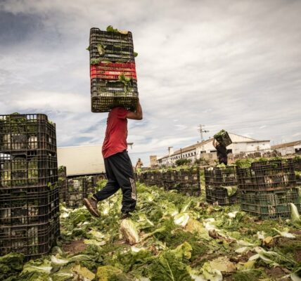 La Dependencia de la Inmigración en el Crecimiento y el Empleo en España: ¿Una Solución Sostenible?