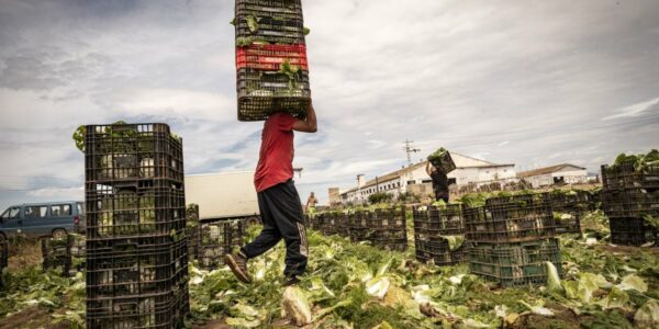 La Dependencia de la Inmigración en el Crecimiento y el Empleo en España: ¿Una Solución Sostenible?