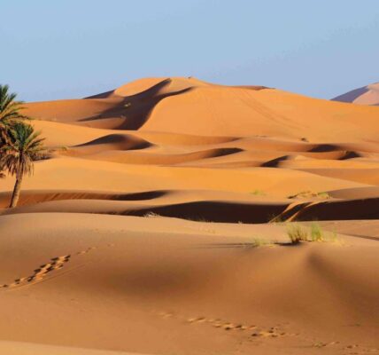 África: La Iniciativa de Energía Limpia en el Sahara