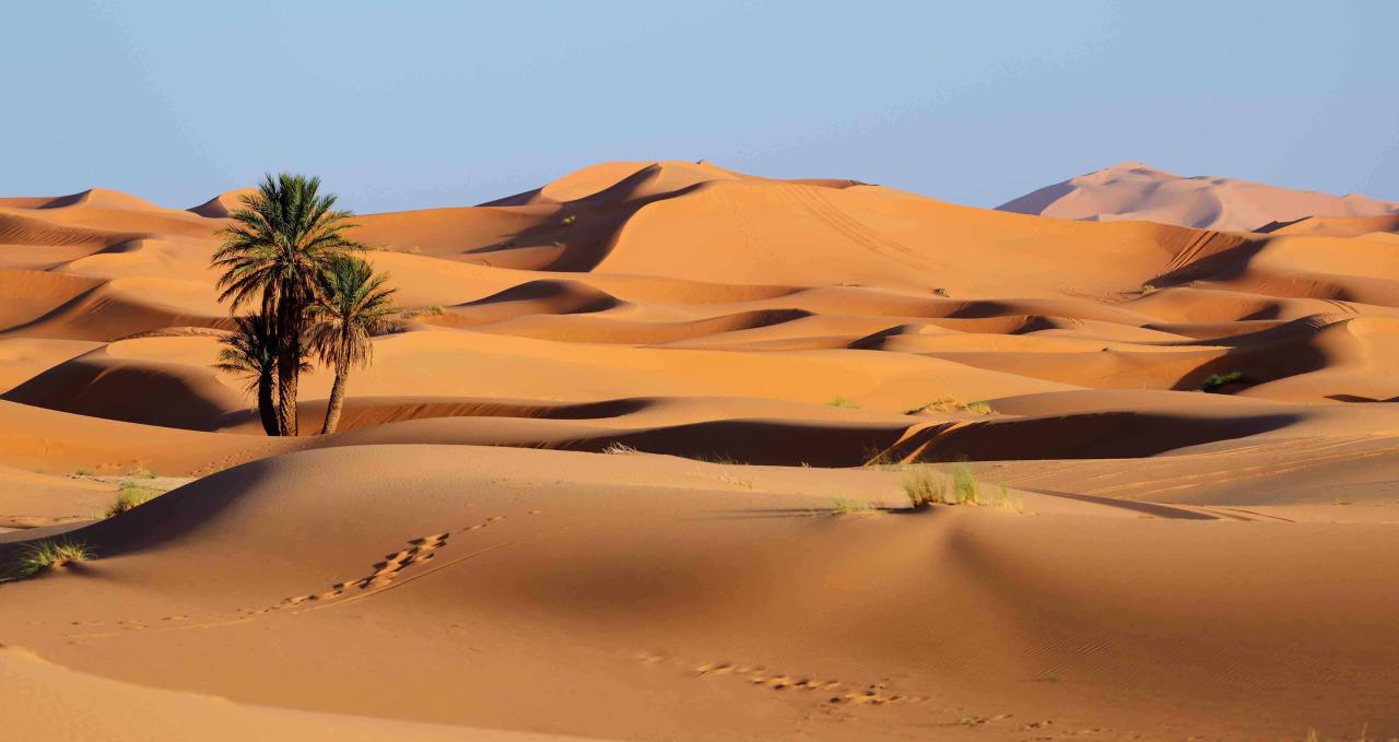 África: La Iniciativa de Energía Limpia en el Sahara