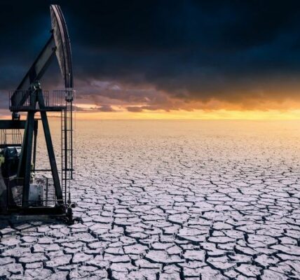 Europa: La Crisis Energética y la Transición a Fuentes Renovables